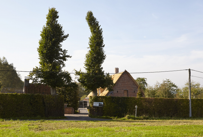 De bomen waren niet meer gesnoeid sinds WO I. (Foto: Kris Vandevorst, OE)