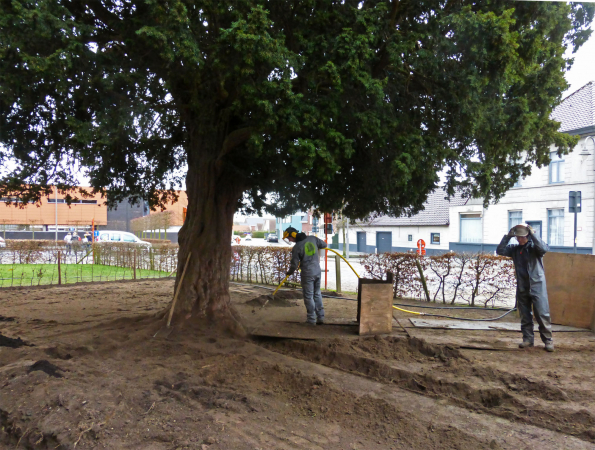 Met een air spade wordt de grond rond de boomwortels losgemaakt. (Foto: OE, Virginie Peeters)