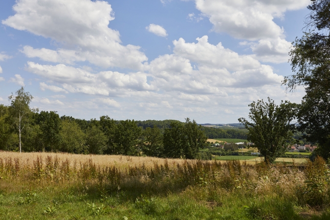 Vanaf de Wijnmuur heb je een betoverend uitzicht over het landschap. (Foto: OE, Kris Vandevorst)