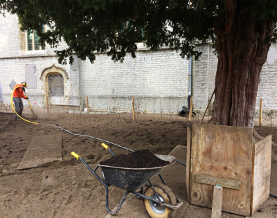 Met een air spade wordt de grond rond de boomwortels losgemaakt. (Foto: OE, Virginie Peeters)